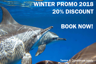 Winter Promo 2018! Save 20%! ***Deadline 30th November 2017***